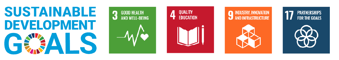 SDG icons